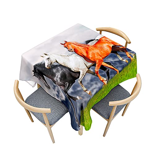 Surwin Tischdecke Abwaschbar Quadratisch, 3D Tier Outdoor Tischdecke, Abwaschbare Tischtuch, Gartentischdecke, für Esszimmer/Party/Geburtstag (Pony rennt,150x150cm) von Surwin