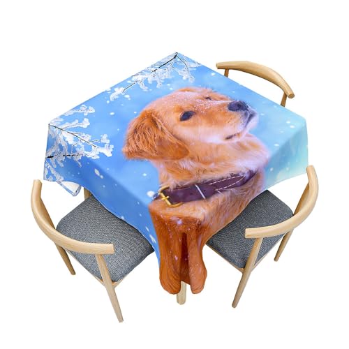 Surwin Tischdecke Abwaschbar Quadratisch, 3D Tier Outdoor Tischdecke, Abwaschbare Tischtuch, Gartentischdecke, für Esszimmer/Party/Geburtstag (Winter und Hunde,100x100cm) von Surwin