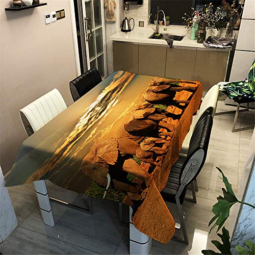 Surwin Tischtuch Drucken Tischdecke, Rechteckige Tischdecke Fleckschutz Pflegeleicht Abwaschbar Wählbar für Home Küche Dekoration (Wüstenelefant,90x90cm) von Surwin