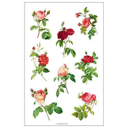 Susy Card 11259421 Sticker natur 1.8, FSC, 3 Bogen selbstklebend von Susy Card