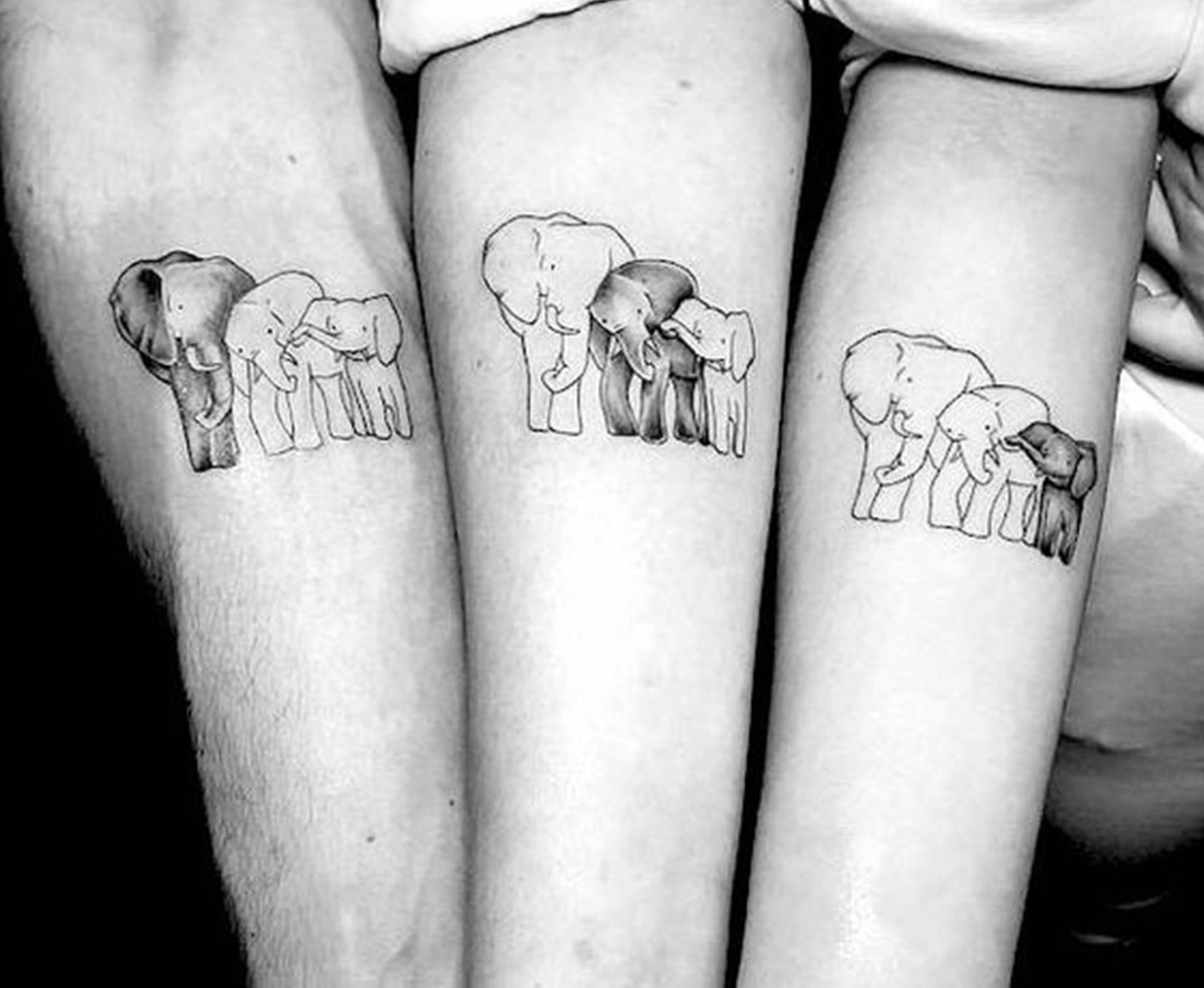 Elefant Familie Temporäres Tattoo - Mama Papa Baby Winziges Wasserdichtes Fake Abnehmbares Geschenk Für Mama, Papa, Tochter, Sohn von SvenHStore