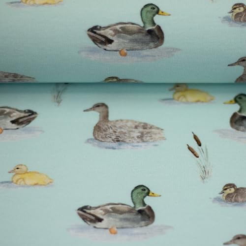 Jerseystoff Baumwolljersey IN THE POND by Christiane Zielinski | Tiere am Teich | Ökotex | ab 50 cm | Meterware (Enten, mint) von Swafing