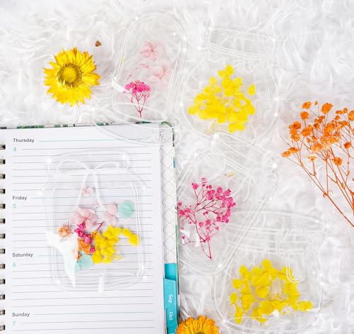50 Stück Transparente Lesezeichen Getrocknete Blumen mit Bunten Quasten, Lesezeichen Basteln Geschenk mit Loch für Frauen Mama Kinder Beste Freundin DIY Handwerk Geschenkanhänger (Glasflasche) von Sweelov