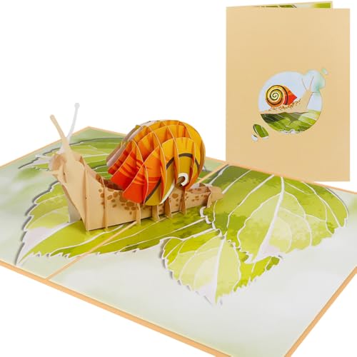 Sweetpopup® 3D Pop Up Karte Glückwunschkarte Geburtstagskarte Grußkarte | Glückwunsch Geburtstag Muttertag Danksagung Genesung | Frühling Sommer | Klappkarte Schneke im Garten, 019 von Sweetpopup