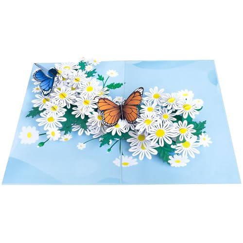 Sweetpopup [NEU] 3D Pop Up Karte Blumen Glückwunschkarte Geburtstag Jahrestag Muttertag Danksagung | Filigran & inkl. Notizkarte | Klappkarte Schmetterlinge & Gänseblümchen, 087 von Sweetpopup