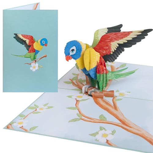 Sweetpopup [NEU] 3D Pop Up Karte Glückwunschkarte Geburtstagskarte Grußkarte Geschenkkarte Gutschein Glückwunsch Danksagung Genesung | Klappkarte Vogel/Papagei, 184 von Sweetpopup