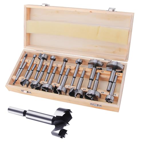 16 Stück Forstnerbohrer Set - Mehrere Zähne Holzbohrer Set, Bohrer für Die Holzbearbeitung, mit 6 bis 54 mm Forstner & Aufbewahrungsbox, Geeignet für Alle Holzarten von Sxnmmweu