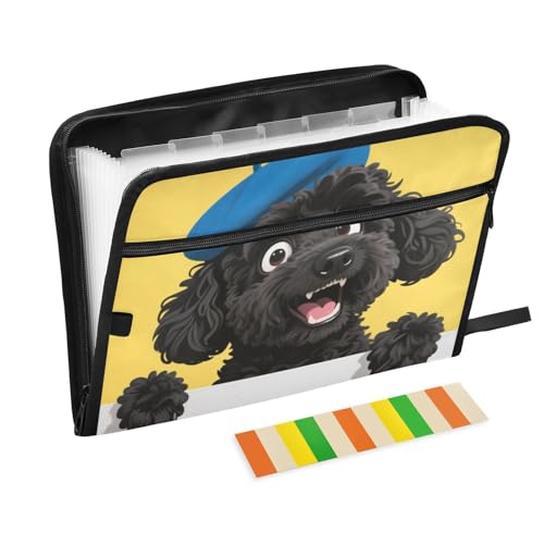 Dokumentenmappe mit niedlichem Cartoon-Motiv, 13 Fächer, A4, Briefgröße mit Reißverschluss, für Bürobedarf, erweiterbarer Aktenordner mit Etiketten, für Para Guardar Documentos Dokumentenmappe mit niedlichem Cartoon-Motiv, 13 Fächer, A4, Briefgröße mit Reißverschluss, für Bürobedarf, erweiterbarer Aktenordner mit Etiketten, für Para Guardar Documentos von SyXIOP