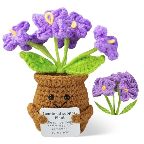 Syhdfxknp 1 Stück Pocket Hug Puppen Gehäkelte Blumen Positive Geschenke Emotional Support Gestrickte Lila Vergissmeinnicht Gute Besserung Geschenke Danke Geschenk für Frauen Freundin für Kollegin Syhdfxknp 1 Stück Pocket Hug Puppen Gehäkelte Blumen Positive Geschenke Emotional Support Gestrickte Lila Vergissmeinnicht Gute Besserung Geschenke Danke Geschenk für Frauen Freundin für Kollegin von Syhdfxknp