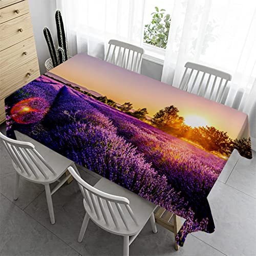 Syhi Qlty Abwischbare Tischdecke 140x200 cm - Outdoor Tischdecke Bierzeltgarnitur Wasserabweisend Tischtuch Bügelfreie Garten Tischdecken für Draußen Party - Lavendel Violett Syhi Qlty Abwischbare Tischdecke 140x200 cm - Outdoor Tischdecke Bierzeltgarnitur Wasserabweisend Tischtuch Bügelfreie Garten Tischdecken für Draußen Party - Lavendel Violett von Syhi Qlty