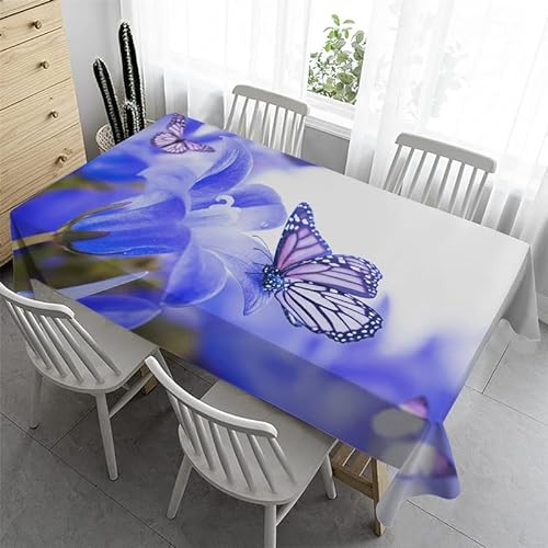 Syhi Qlty Klein Tischdecke 80x80 cm - Blauer Schmetterling Tischdecke Outdoor Abwaschbar Gartentischdecke Eckig Tischdecken Wasserabweisend Fleckschutz für Geburtstag Bierzeltgarnitur von Syhi Qlty