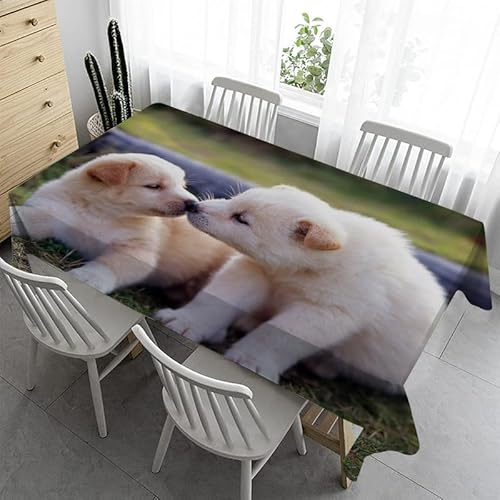 Syhi Qlty Klein Tischdecke 80x80 cm - Hund Süß Tischdecke Outdoor Abwaschbar Gartentischdecke Eckig Tischdecken Wasserabweisend Fleckschutz für Geburtstag Bierzeltgarnitur Syhi Qlty Klein Tischdecke 80x80 cm - Hund Süß Tischdecke Outdoor Abwaschbar Gartentischdecke Eckig Tischdecken Wasserabweisend Fleckschutz für Geburtstag Bierzeltgarnitur von Syhi Qlty
