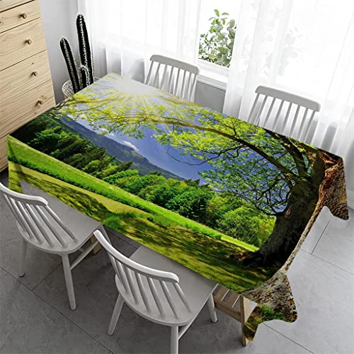 Syhi Qlty Klein Tischdecke 80x80 cm - Tischdecke Outdoor Abwaschbar Gartentischdecke Eckig Tischdecken Wasserabweisend Fleckschutz für Geburtstag Bierzeltgarnitur - Grüne Pflanzen 2 Syhi Qlty Klein Tischdecke 80x80 cm - Tischdecke Outdoor Abwaschbar Gartentischdecke Eckig Tischdecken Wasserabweisend Fleckschutz für Geburtstag Bierzeltgarnitur - Grüne Pflanzen 2 von Syhi Qlty