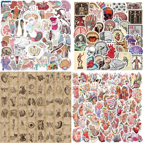 Syzplnwy Vintage Anatomy Decor Aufkleber, 206 Stück, Body Art Designs, für Journals, Laptops, Skateboards, 4 Stile Syzplnwy Vintage Anatomy Decor Aufkleber, 206 Stück, Body Art Designs, für Journals, Laptops, Skateboards, 4 Stile von Syzplnwy