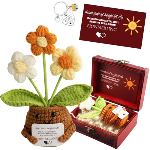 Dankeschön Geschenke Klein – Pocket Hug Deutsch Positive Gestrickte Mehrfarbig Blumenstrauß mit Schlüsselanhänger & Grußkarte im Vintage-Schatztruhe – Glücksbringer für Freunde Kollegen Eltern (A) von Szhhrxi