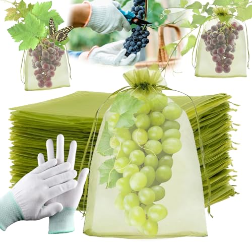 100 Stück Trauben Schutzbeutel 20x30cm, SzonMcnl Obstschutzbeutel mit Zugband, Weintrauben Schutzbeutel Organzasäckchen, Garten Netzbeutel zum Schutz vor Wespenfrass Vögel Kirschessigfliege 100 Stück Trauben Schutzbeutel 20x30cm, SzonMcnl Obstschutzbeutel mit Zugband, Weintrauben Schutzbeutel Organzasäckchen, Garten Netzbeutel zum Schutz vor Wespenfrass Vögel Kirschessigfliege von SzonMcnl