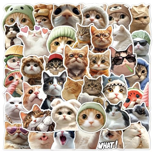 TABSIRAH Niedliche Katzen-Aufkleber, lustige Kätzchen-Aufkleber, ästhetische Haustier-Wasserflaschen-Aufkleber, Partyzubehör für Laptop, Schreibwaren, Sammelalbum, Handy, Gitarre, Koffer, Gepäck TABSIRAH Niedliche Katzen-Aufkleber, lustige Kätzchen-Aufkleber, ästhetische Haustier-Wasserflaschen-Aufkleber, Partyzubehör für Laptop, Schreibwaren, Sammelalbum, Handy, Gitarre, Koffer, Gepäck von TABSIRAH