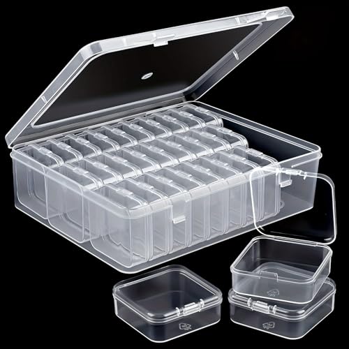 TAIHOBO 30 Stück Sortierbox, Perlen Aufbewahrungsbox mit Deckel Klein, Transparent Sortierboxen für Kleinteile und 1 Große Boxen Aufbewahrung, Plastikbox mit Deckel für Kleinteile Bastelartikel Schmuc von TAIHOBO