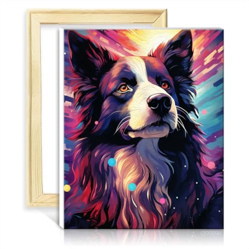 Malsets auf Leinwand, Border Collie, Ölgemälde zum Selbermachen, Malen nach Zahlen, Set für Erwachsene, Acrylzahlen mit Pinseln, gemalter Stil für die Heimdekoration, ohne Rahmen (40 x 50 cm) von TANGFEIY