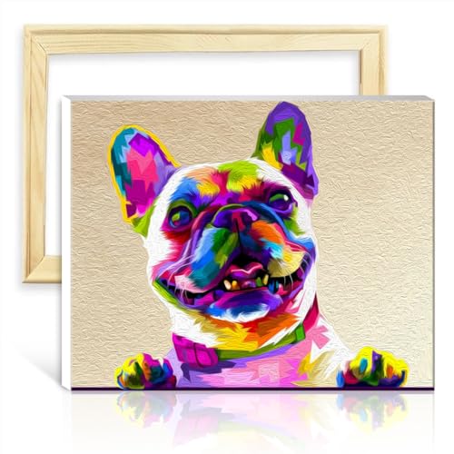 TANGFEIY Malen nach Zahlen, Französische Bulldogge, Malen-nach-Zahlen-Set für Erwachsene mit Pinseln und Acrylpigmenten, Kunst, Malen nach Zahlen für Erwachsene mit Rahmen (30 x 40 cm) von TANGFEIY