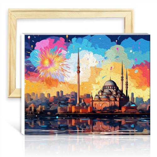 TANGFEIY Malen nach Zahlen, Istanbul Türkei, Malset für Erwachsene, Acryl-/Ölgemälde, Malen mit Pinseln, Dekoration für Zuhause und Wohnzimmer, ohne Rahmen (40 x 50 cm) von TANGFEIY