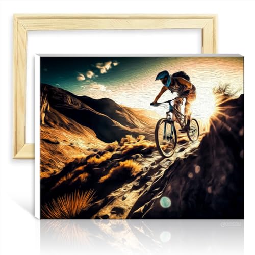 TANGFEIY Malen nach Zahlen auf Leinwand, Mountainbike, für Erwachsene, Malen nach Zahlen für Kinder, mit 3 Pinseln und Acrylfarben, kreativer Stil, Kunsthandwerk, mit Rahmen (30 x 40 cm) von TANGFEIY