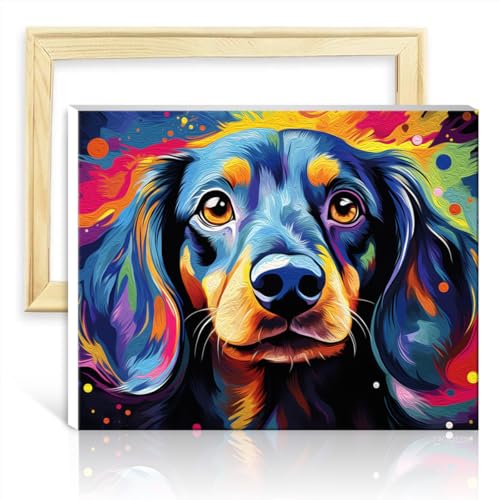 TANGFEIY Malset für Leinwandbilder, Dackel, Malen nach Zahlen für Erwachsene, mit Pinseln und Acrylpigmenten auf Leinwand, Kunstbild für die Heimdekoration, mit Rahmen (40 x 50 cm) von TANGFEIY