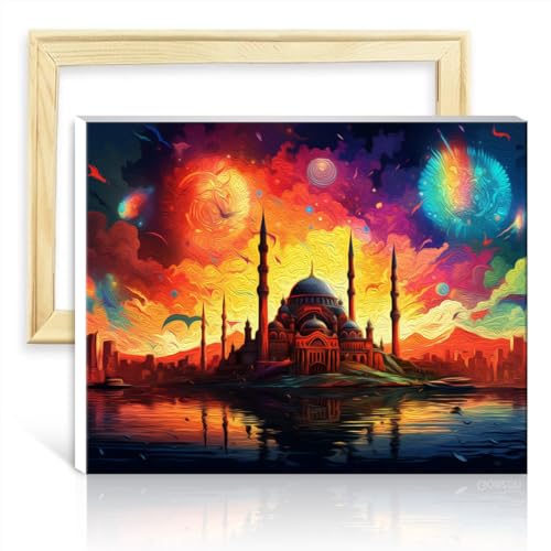 TANGFEIY Malset für die Wanddekoration, Istanbul, Türkei, digitales Ölgemälde zum Selbermachen für Erwachsene mit 3 Pinseln und Acrylfarben, Kunsthandwerksprojekt, ohne Rahmen (60 x 75 cm) von TANGFEIY