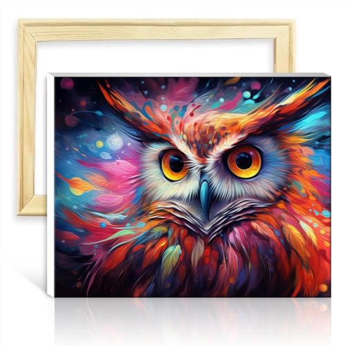 TANGFEIY Malsets auf Leinwand, geheimnisvolle kosmische Eule, Farben für Kinder, Acryl-/Ölgemälde, Malen mit Pinseln, Haus-Art-Deco-Basteln, ohne Rahmen (40 x 50 cm) von TANGFEIY