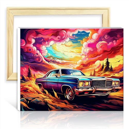 TANGFEIY Ölgemälde, Malen nach Zahlen-Set, Retro-Sportwagen, Malen nach Zahlen für Erwachsene, mit Pinseln und Acrylpigment auf Künstlerbedarf, ohne Rahmen (30 x 40 cm) von TANGFEIY