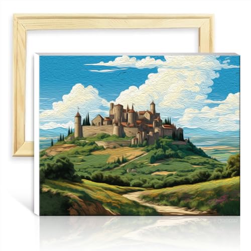 TANGFEIY Ölgemälde-Set auf Leinwand, farbiges Ölgemälde mit Schloss Carcassonne, Leinwand, DIY-Ölgemälde mit Pinseln und Acrylpigmenten für die Wanddekoration, ohne Rahmen (40 x 50 cm) von TANGFEIY
