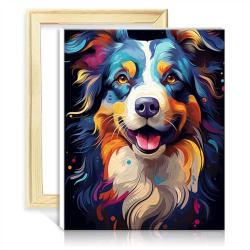 TANGFEIY Ölgemälde-nach-Zahlen-Set, Australian Shepherd, DIY-Ölfarbe nach Zahlen auf Leinwand mit Pinseln und Acrylpigmenten für Bastelprojekte, ohne Rahmen (60 x 75 cm) von TANGFEIY
