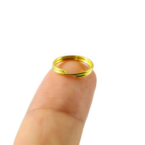 Kleine Doppelschlaufen, Spaltringe, Metall-Binderinge für Schlüsselanhänger, Kette, Quaste, Charms, DIY, Handwerk, Ornament, 100 Stück (Gold) von TANJUN