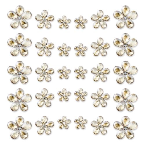 TANOSII 30 Stück Wassertropfenförmige Glas-Strasssteine, Blume, Zinklegierung, Kristall-Edelsteine, Blume für Schmuck, Handwerk, Kleidung, Schuhe, Kostüm, Kleidung, Auto, Luftauslass, Zubehör von TANOSII