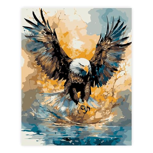 TARATH Malen nach Zahlen Erwachsene, DIY Handgemalt Ölgemälde Kits, Paint by Numbers Malen nach Zahlen zur Heimdekoration, Kein Rahmen 40X50cm (Adler) von TARATH