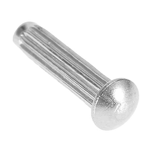 Solid -Niet -Werkzeug, Aluminiumnieten Sortiment Kit 100pcs M2.5 Edelstahl Rundkopf Rundkopf Nieten Festlichkeitsnieten Sortiment Set Set (M2.5 * 12) von TARSHYRY