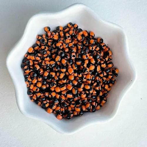 10 g 4,0 mm Streifen rundes Loch Mode Tschechische Glas Rocailles Perlen für Schmuckherstellung DIY handgemachte Stickerei/Halskette -11-4,0 mm 10 g von TBSKUY