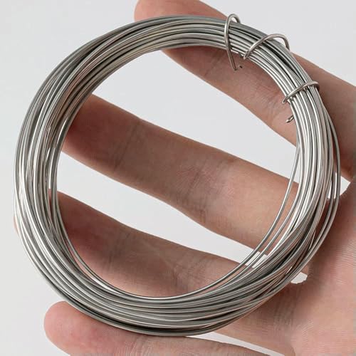 10 m 0,3–1 mm Edelstahldraht, Schlingendraht, Wickelschnur für Heimwerker, Schmuckherstellung, Komponenten, Accessoires, Stahl, 0,5 mm, 10 m 10 m 0,3–1 mm Edelstahldraht, Schlingendraht, Wickelschnur für Heimwerker, Schmuckherstellung, Komponenten, Accessoires, Stahl, 0,5 mm, 10 m von TBSKUY