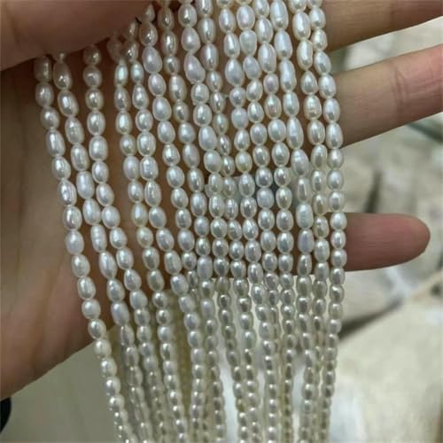 100% natürliche Süßwasserperlen, 1–4A, Reisform, lose Perlen zur Schmuckherstellung, DIY-Halsketten und Armbänder, 2A Weiß, 5–6 mm, 1 Strang von TBSKUY