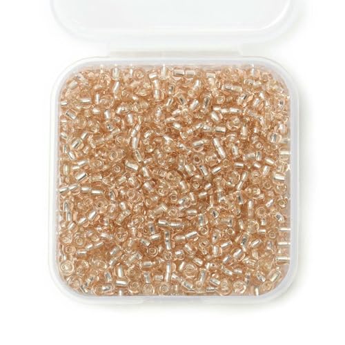 1000 Stück 3,0 mm silberne tschechische Glasperlen, mehrfarbige Fassröhre, lose Perlen für DIY-Schmuckherstellung, Zubehör, Armbänder, Halsketten, Champagner, 3,0 mm, 1000 Stück 1000 Stück 3,0 mm silberne tschechische Glasperlen, mehrfarbige Fassröhre, lose Perlen für DIY-Schmuckherstellung, Zubehör, Armbänder, Halsketten, Champagner, 3,0 mm, 1000 Stück von TBSKUY