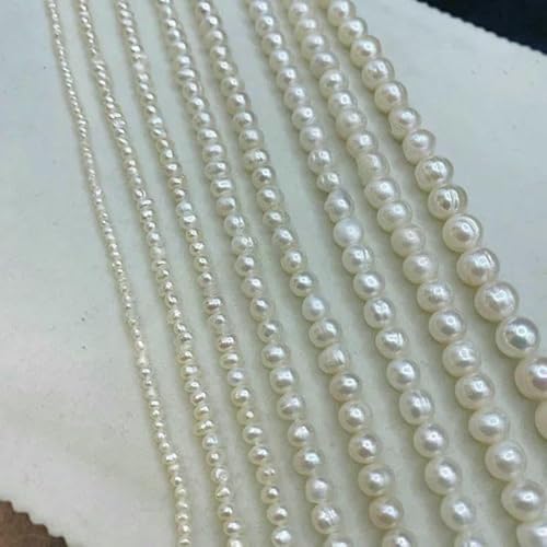 2A Nahezu runde natürliche Süßwasserperlen, weiße Kernperlen, Abstandsperlen zur Schmuckherstellung, DIY-Halsketten- und Armbandzubehör, Weiß 2A-2–3,0 mm, 1 Strang von TBSKUY