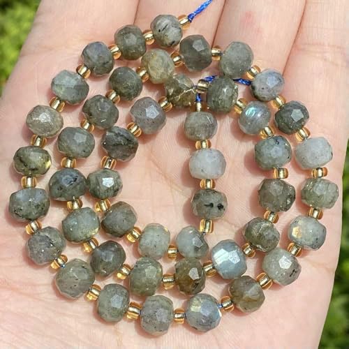 6 x 8 mm Natursteinperlen, facettierte Rondelle, Achat, Rosenquarz, lose Perlen zur Schmuckherstellung, Perlenarbeit, DIY-Armband, Halskette, Labradorit, 6 x 8 mm, ca. 45 Stück 6 x 8 mm Natursteinperlen, facettierte Rondelle, Achat, Rosenquarz, lose Perlen zur Schmuckherstellung, Perlenarbeit, DIY-Armband, Halskette, Labradorit, 6 x 8 mm, ca. 45 Stück von TBSKUY