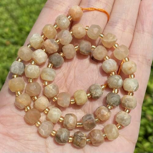 6 x 8 mm Natursteinperlen, facettierte Rondelle, Achat, Rosenquarz, lose Perlen zur Schmuckherstellung, Perlenarbeit, DIY-Armband, Halskette – Sonnenstein – 6 x 8 mm, ca. 45 Stück 6 x 8 mm Natursteinperlen, facettierte Rondelle, Achat, Rosenquarz, lose Perlen zur Schmuckherstellung, Perlenarbeit, DIY-Armband, Halskette – Sonnenstein – 6 x 8 mm, ca. 45 Stück von TBSKUY