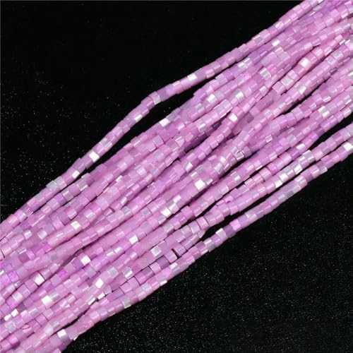 Bunte, natürliche Süßwasser-Muschel-Röhrenperlen, gefärbte Perlmutt-Muschel, lose Perlen für die Schmuckherstellung, DIY-Armband, Halskette, 38,1–40,6 cm, Abstandshalter 3 x 2 mm Bunte, natürliche Süßwasser-Muschel-Röhrenperlen, gefärbte Perlmutt-Muschel, lose Perlen für die Schmuckherstellung, DIY-Armband, Halskette, 38,1–40,6 cm, Abstandshalter 3 x 2 mm von TBSKUY