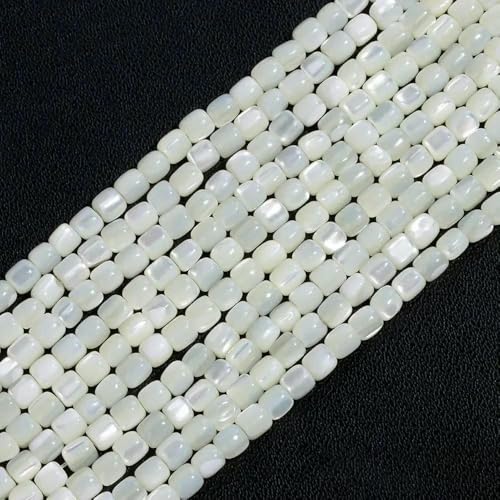 Bunte natürliche Süßwasser-Muschel-Röhrenperlen, gefärbte Perlmutt-Muschel, lose Perlen für die Schmuckherstellung, DIY-Armband, Halskette, 15-38 Zoll, ca. 3,0 mm Bunte natürliche Süßwasser-Muschel-Röhrenperlen, gefärbte Perlmutt-Muschel, lose Perlen für die Schmuckherstellung, DIY-Armband, Halskette, 15-38 Zoll, ca. 3,0 mm von TBSKUY