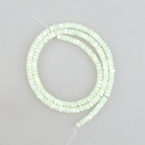 Natürliche Muschelperlen, Trochidae-Muschel, Röhren-Rondelle, Abstandsperlen, lose Perlen, 2 x 4,0 mm, für die Herstellung von Armbändern und Halsketten, 12 Stück, 2 x 4,0 mm, ca. 175 Perlen Natürliche Muschelperlen, Trochidae-Muschel, Röhren-Rondelle, Abstandsperlen, lose Perlen, 2 x 4,0 mm, für die Herstellung von Armbändern und Halsketten, 12 Stück, 2 x 4,0 mm, ca. 175 Perlen von TBSKUY