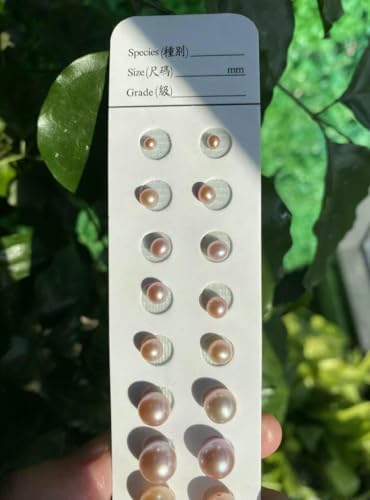 Stück/Los Natürliche Süßwasserperle Perfekte runde Makel Lose Perlen Perlen für DIY Schmuck Anhänger 2mm-8mm-Lila 5A-7-7,5mm 2 Stück von TBSKUY