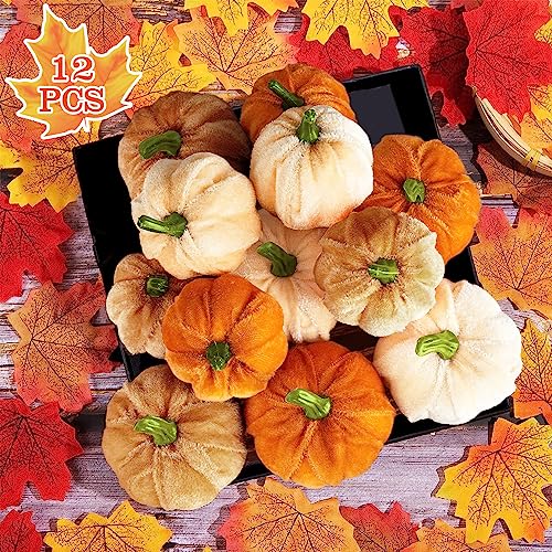 TDTOD Kürbis Herbst Dekorationen,12 Stück Künstliche Kürbisse Set Samtstoff Herbst Dekoration Kürbisdeko für Party,Halloween, Herbst, Ernte, Zuhause, Thanksgiving Tischdekoration, Braun TDTOD Kürbis Herbst Dekorationen,12 Stück Künstliche Kürbisse Set Samtstoff Herbst Dekoration Kürbisdeko für Party,Halloween, Herbst, Ernte, Zuhause, Thanksgiving Tischdekoration, Braun von TDTOD