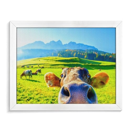 TDXYz „Neugierige Kuh“ 5D Diamond Art Kits DIY Diamond Painting Vollbohrer Bilder Strass Stickerei Kunst Handwerk Leinwand Rundbohrer40x40cm/15.74x15.74 TDXYz „Neugierige Kuh“ 5D Diamond Art Kits DIY Diamond Painting Vollbohrer Bilder Strass Stickerei Kunst Handwerk Leinwand Rundbohrer40x40cm/15.74x15.74 von TDXYz