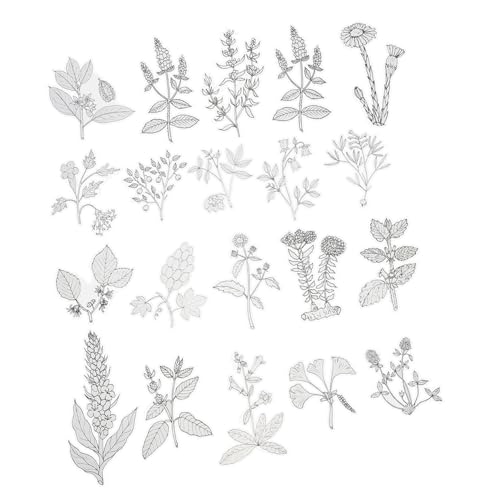 TEHAUX 120 Stück Teiliges DIY Scrapbook Pflanzen Aufkleber Selbstklebend ohne Rückstände Vielseitig für Tagebücher Grußkarten Fotoalben Geschenkverpackungen Kreative Bastelprojekte TEHAUX 120 Stück Teiliges DIY Scrapbook Pflanzen Aufkleber Selbstklebend ohne Rückstände Vielseitig für Tagebücher Grußkarten Fotoalben Geschenkverpackungen Kreative Bastelprojekte von TEHAUX